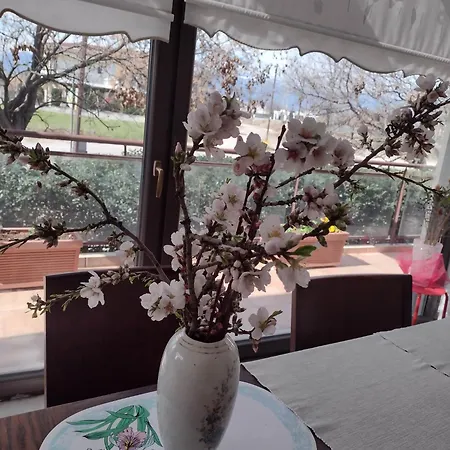 By The River Near Meteora Tríkala