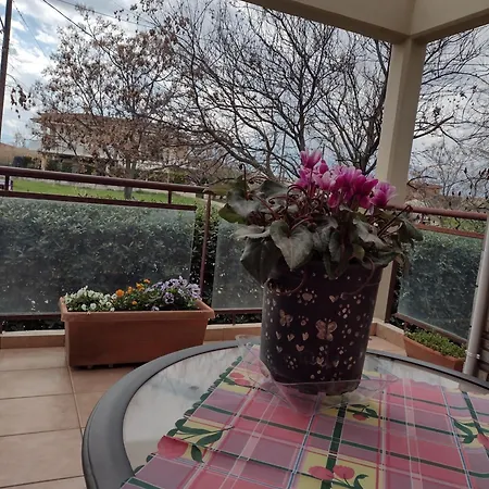 By The River Near Meteora