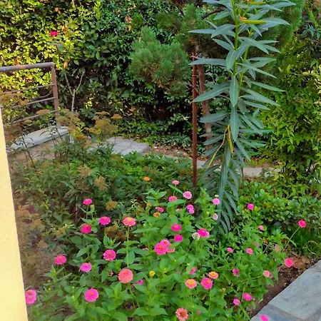 By The River Near Meteora