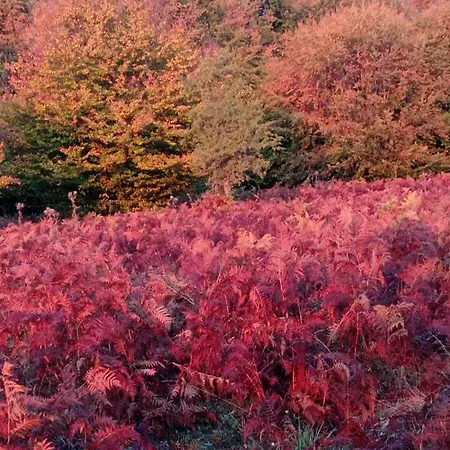By The River Near Meteora