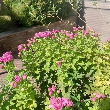 By The River Near Meteora