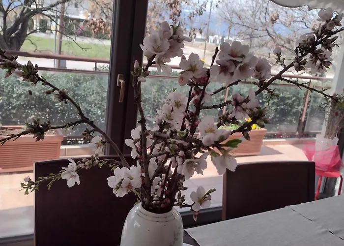 By The River Near Meteora Tríkala