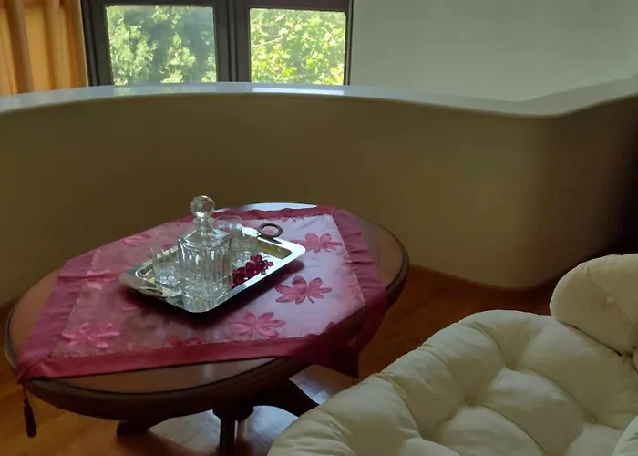 By The River Near Meteora Vilă *