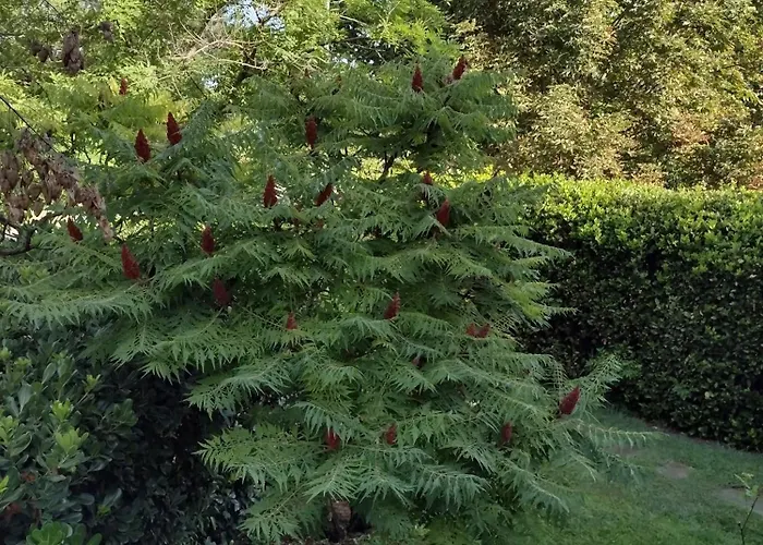 By The River Near Meteora * Tríkala