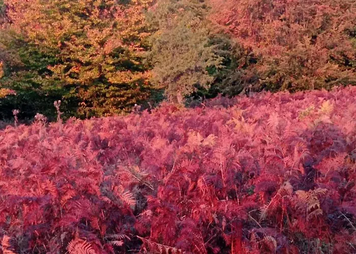 By The River Near Meteora