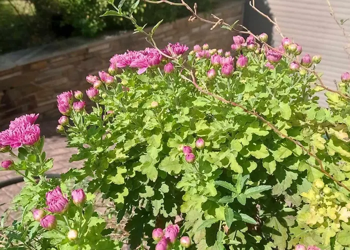 By The River Near Meteora
