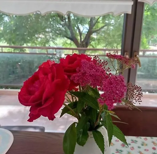 By The River Near Meteora Vilă *