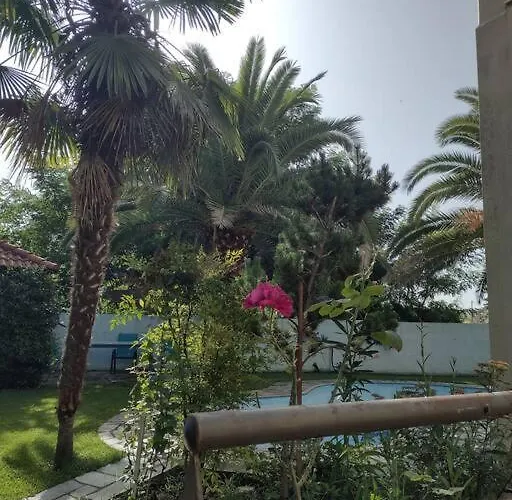 By The River Near Meteora Vilă *